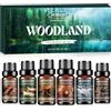 AESHORY Bosco Oli Essenziali per Diffusori 6 x 10ML, Set di Olio Essenziale di Aromaterapia Naturale per Massaggi - Hickory & Pelle Scamosciata, Vaniglia di Sandalo, Abete Smerigliato, Cedro & Ambra