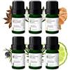 AMYRON Set di Oli Essenziali Naturali per Aromaterapia | Fragranza Ambiente | Anice stellato | Cajeput | Incenso/Franchincese | Ginepro Bacche | Bergamotto | Eucalipto | Ideale Per Diffusore.