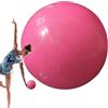 Générique Palla Per Yoga E Pilates Sfera per Allenamento e Stabilità