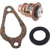 AYZLGAA for M-e-r-c-u-r-y 8 9.9 15 20 25 30hp 4 Tempi Marine 140ºf 60ºc Guarnizione termostato