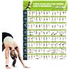 Générique Tabella Workout 42,8x57,4 cm Guida Stretching Con Fasce Elastiche
