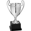 Hole Gadget Coppa Trofeo Personalizzabile 25, 22, 20 cm Singolo o Tris per Tutti Gli Sport, Calcio, Calcettto, Tennis, Basket, Padel, Fantacalcio, Concorsi, Premiazioni cod 12.991 (25 cm)