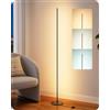 EDISHINE Lampada da Terra LED, Altezza Regolabile, 3000-6000K, Nero