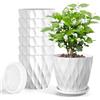 Freyeeti 12 cm Vaso con Sottovaso Il Giro Set di 6, Imposta Completo Vaso Fioriera da Interno Ed Esterno per Casa e Ufficio, Vasi da Fiori per Piante, Erbe, Orchids, Bianco
