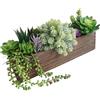 Winlyn - Composizione di piante grasse artificiali assortite da 15 in vaso in legno rettangolare, piante grasse finte per centrotavola, finestra, mensola, scaffale, caminetto, decorazione con verde