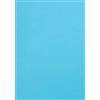 Netuno 100 fogli carta colorata azzurro A4 21 x 29,7 cm 120g Malmero Arctique carta ecologica da stampare per progetti creativi bricolage fai da te lavoretti partecipazioni inviti matrimonio
