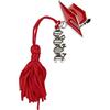 PuntoCasaStore 12 pz Ciondolo zama Laureato in biologia con Tocco e Dna 3,5 cm Nappina Rossa bomboniera Laurea