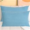 SWJ-swjssb Copri Cuscini Velluto A Coste - Set di 2, Fodere Quadrato E Rettangolare, Copricuscino Elasticizzati con Cerniera, per Divano E Camera da Letto, Lavabili(Mist Blue,35x55 cm Set of 2)
