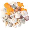 Anseom Conchiglie, conchiglie decorative con stelle marine, conchiglie oceaniche miste, conchiglie marine, per vasi, spiaggia, feste a tema, casa, matrimoni, decorazioni fai da te, rete da pesca