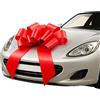 Amazleer Grande fiocco rosso per auto con ventosa, decorazione regalo per auto e bicicletta, fiocco gigante AR Bow per bicicletta e fiocco con ventosa 23 pollici (rosso, 23 pollici)