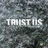 Trust Us Non-zero-sum Game (Vinyl LP) 12" Album