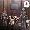 1:6 Anatomia Umana Corpo Trasparente Muscoli, Organi E Ossa Rimovibili