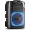 NGS Wild Club - Altoparlante portatile Fiesta Bluetooth 5.2, 80 W, luci laser e RGB, 2 ingressi microfono karaoke, 5400 mAh batteria 6H, USB/AUX/TF