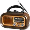 Fantocemea Radio Portatile Vintage FM/AM(MW)/SW, Radiolina Portatile con Bluetooth,Radio Portatile Ricaricabile da 1200 mAh o Energia Solare,Supporta TF Card/USB MP3 Player