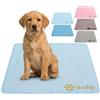 DBLXYAN Materasso Rinfrescante Personalizzato per Cani con Nome e Foto, Coperta Estiva in Gel Lavabile per Cani e Gatti, Materasso Auto-Raffreddante Portatile per Box per Cani, Divano (Blu Chiaro)