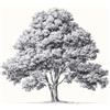 WallArena - Carta da parati fotografica - Albero 400x280 cm - Murale fotografico - Per soggiorno e camera da letto - Effetto 3D - con Colla - Beige Naturale Moderno
