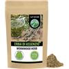 Alpi Nature Assenzio Tisana 125g, Tè Sfuso, Erba di Assenzio Essiccata e Tagliata per Tisana