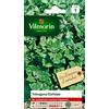 Vilmorin - Tetragono cornuto- Verdura di un tempo - Si consuma come uno spinaci - resistente al Calore e alla siccità - ideale per le regioni calde - Crescita rapida - resa 2 x 2 m