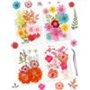 Cinvo 48pcs Vera goffratura Secco e Foglie petali secchi naturali Fare Candele con Pinze in resina Gioielli Sapone Unghie pendenti Caso del telefono Artigianato