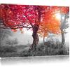 Pixxprint Paesaggio Magico della Foresta Stampa su Tela 60x40cm Artistica murale