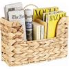 Dexpally 30x20x11 cm Portariviste Stabile In Giacinto d'Acqua, con Manico, per Organizzare Libri Riviste e Carta, Ideale per Ingresso Soggiorno Ufficio