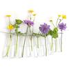 comforder 12 provette per fiori da appendere, vaso con bordo da appendere, decorazione per finestra, vaso in vetro, decorazione per matrimonio (10 cm)