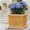 Decor Space Decorspace Vaso Quadro Uva quadrato in resina con decorazione per esterno Made in Italy (25 cm, Impruneta)