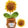 Dawumin Girasole all'Uncinetto con Vaso e Cartolina Motivazionale, Regalo Maestra Fine Anno Scolastico, Regalo Insegnante Rientro a Scuola, Pianta Decorativa per Scrivania e Aula
