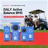 DalyBMS LiFePo4 4S 12V 8S 24S 16S 48V 60A 100A 150A 200A 250A 3.2V BMS BT CAN per Accumulo Energetico Domestico, Golf Cart, Camper, Navi