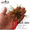 WALK FISH 3 Pezzi 10cm 9g Esche Morbide in TPE a Forma di Riccio di Mare, Artificiali in Silicone per la Pesca di Orate, Mandarini, Tilapia, Trote e Spigole