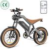 Twofish Bicicletta Elettrica M20 per Adulti, Nuova Versione 2026, 1500W, Batteria 48V18.2Ah, Mountain Ebike con Ruote Fat da 20 Pollici, Velocità Massima 55 km/h, 7 Velocità, Freni a Disco, CON APP, Bici