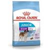 Royal Canin Giant Junior 31 - Confezione risparmio da 2 x 15 kg