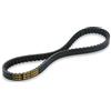 Malossi 82964 - Cinghia di cintura X Special Belt 6116844