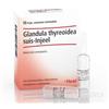 Heel Gland Thyreoidea Suis. Injeel Fiale
