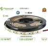 Pianeta Led 5 metri striscia 600 led 2835 SMD 12 W/MT per interno IP20 12 V DC premium series 12W/M colore luce a scelta, Bianco Freddo