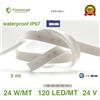 Pianeta Led 5 metri striscia led neon flex waterproof ip67 senza uso profilo 24 V CD 24 w/m premium series, Bianco Freddo