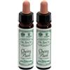 santiveri Ainsworths Dr.Bach n°6 Cherry Plum Prunus Cerasifera 2x10 ml