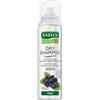 RAUSCH Dry Shampooo Fresh 4x150 ml