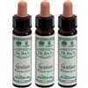 santiveri Ainsworths Dr.Bach n°12 Gentian Gentianella Amarella 3x10 ml