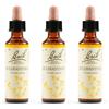 Schwabe Pharma Sclerantus Bach Orig 3x20 ml Gocce orali