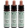 santiveri Ainsworths Dr.Bach n°6 Cherry Plum Prunus Cerasifera 3x10 ml