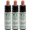 santiveri Ainsworths Dr.Bach n°21 Mustard Sinapis Arvensis 3x10 ml