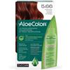 zuccari ALOECOLOR 5.66-castano chiaro rosso intenso 4x1 St