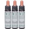 santiveri Ainsworths Dr.Bach n°28 Scleranthus Annuus 3x10 ml