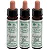 santiveri Ainsworths Dr.Bach n°7 Chestnut Bud Aesculus Hippocastanum 3x10 ml
