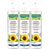 cm_main_brand_3029 RAUSCH Hairspray Flexible Aerosol 3x250 ml Spray