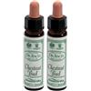 santiveri Ainsworths Dr.Bach n°7 Chestnut Bud Aesculus Hippocastanum 2x10 ml