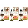 Australian Bush Flower Essences Transition Pets 3x30 ml Gocce