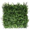 XONE Siepe Artificiale Felce 50x50cm | Siepe Finta Foglie realistica | Siepe artificiale effetto Felce …