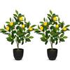 Hollyone 2 piante artificiali, decorazione di limone, 60 cm, in plastica, colore nero, piante da interno, artificiali, con ramo di limone e frutti di limone, per decorazione della casa, soggiorno,
